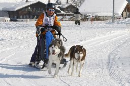 Lenk 2012 SM